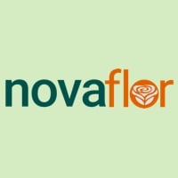 Nova Flor